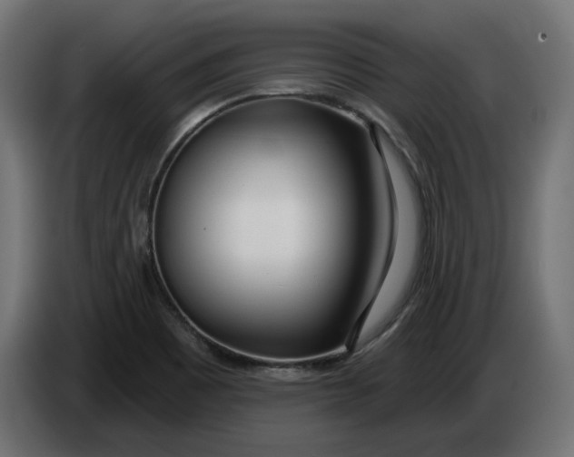 X0000086101465200704132137
