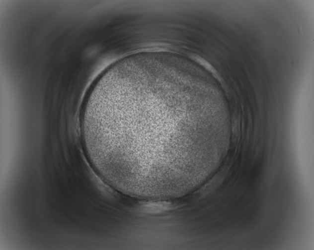 X0000086101466200704132137