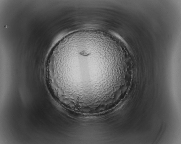X0000086101467200704132136
