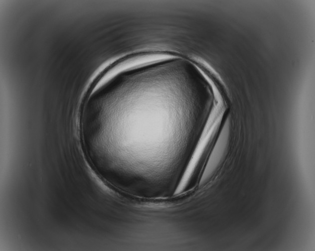 X0000086101468200704132136