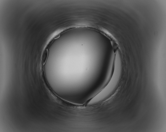 X0000086101469200704132136