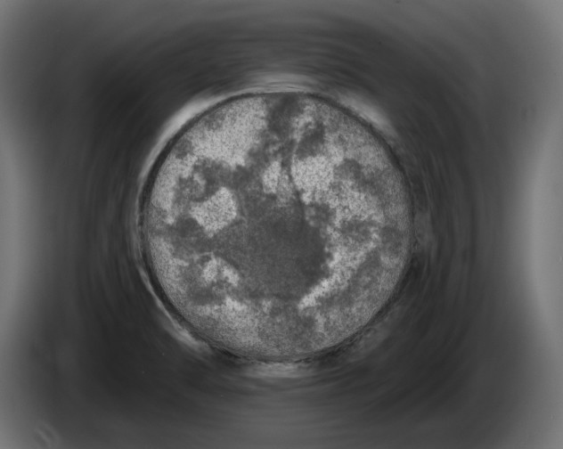 X0000086101470200704132136