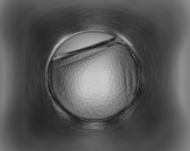 X0000086101471200704132136