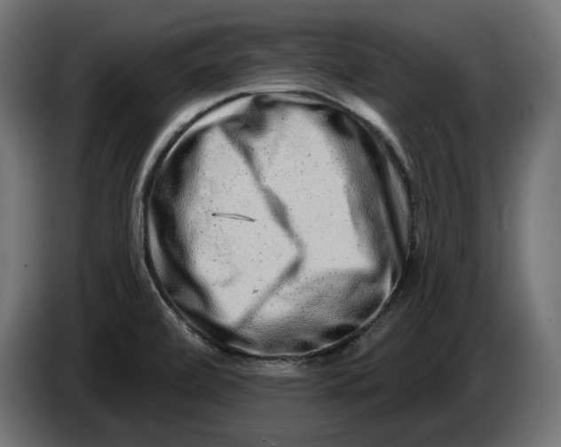 X0000086101472200704132136