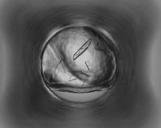 X0000086101476200704132136