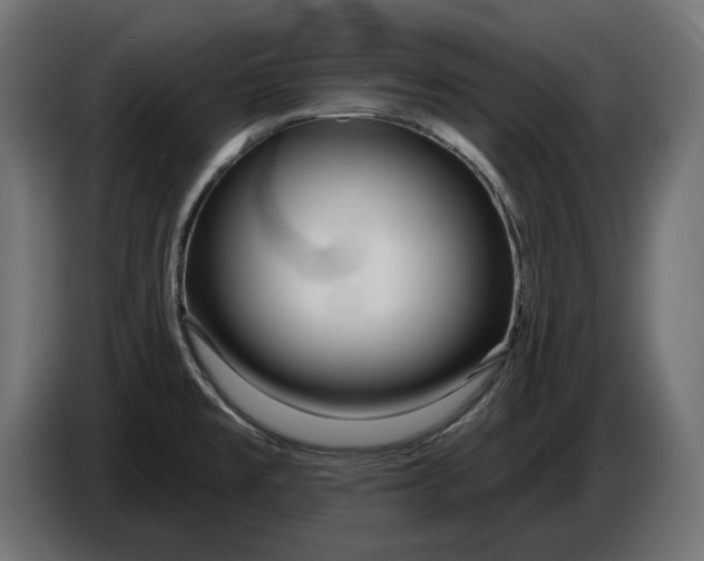 X0000086101477200704132136