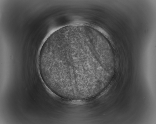 X0000086101478200704132136