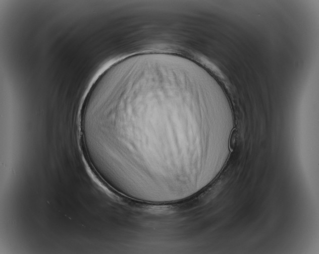 X0000086101479200704132136