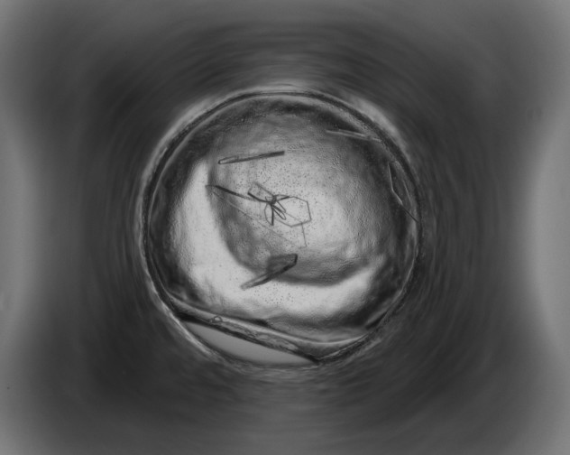 X0000086101480200704132136