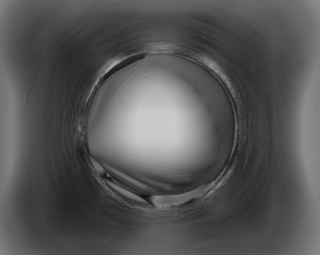 X0000086101481200704132136