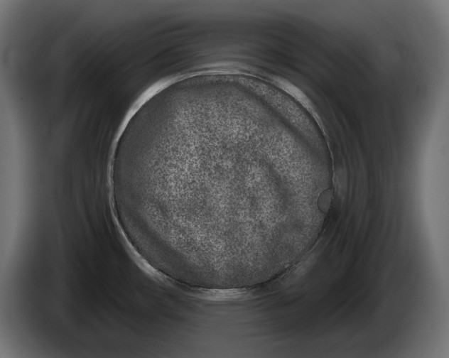 X0000086101482200704132136