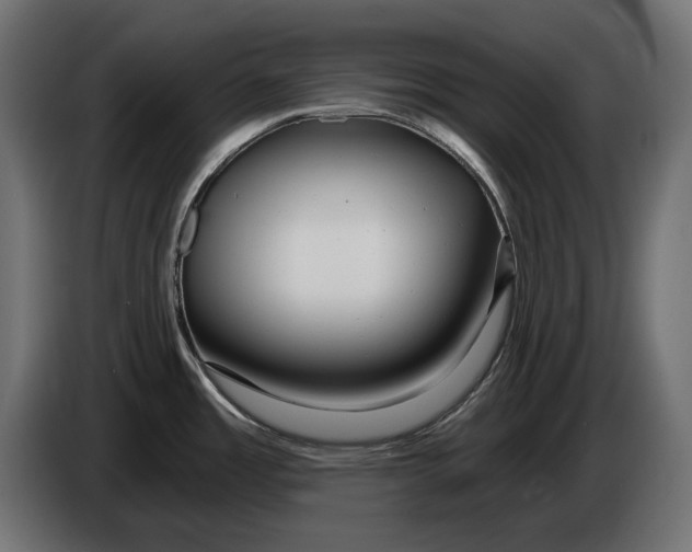 X0000086101485200704132136