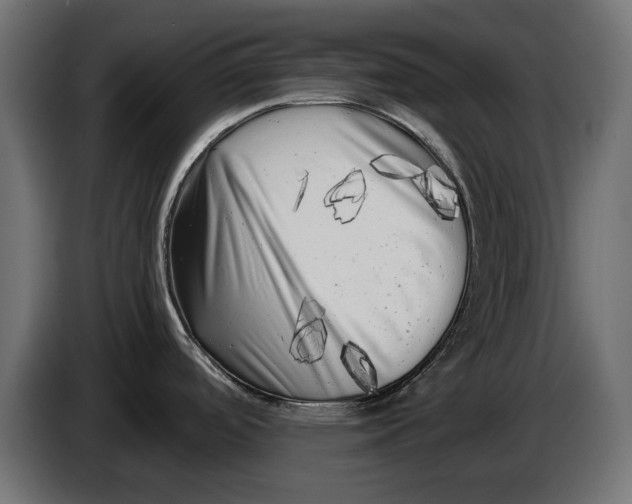 X0000086101488200704132136