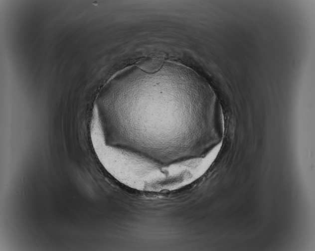 X0000086101489200704132136