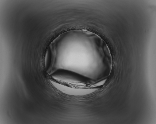 X0000086101490200704132136