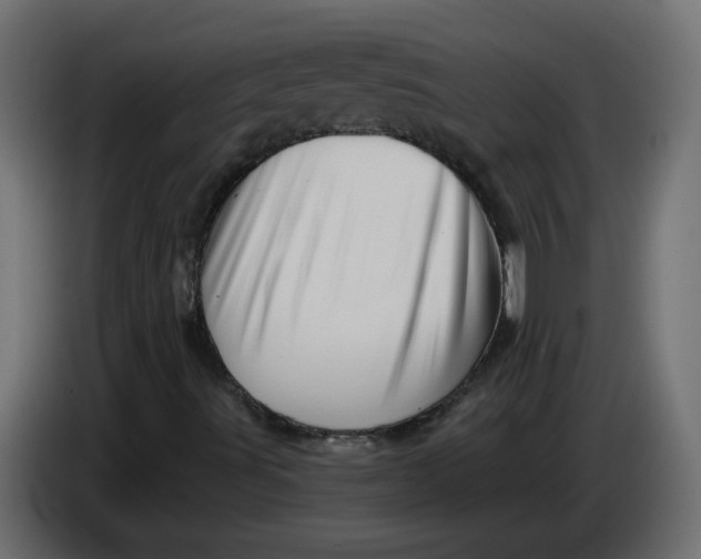 X0000086101491200704132136