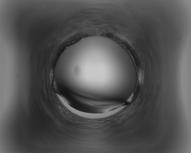 X0000086101492200704132136