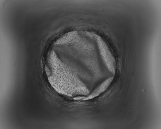 X0000086101493200704132136