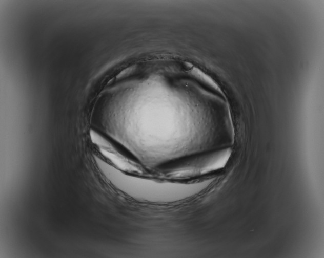 X0000086101494200704132136