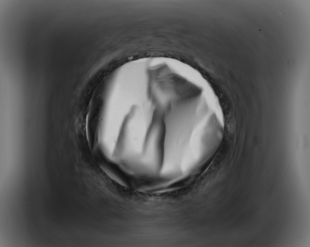 X0000086101495200704132136