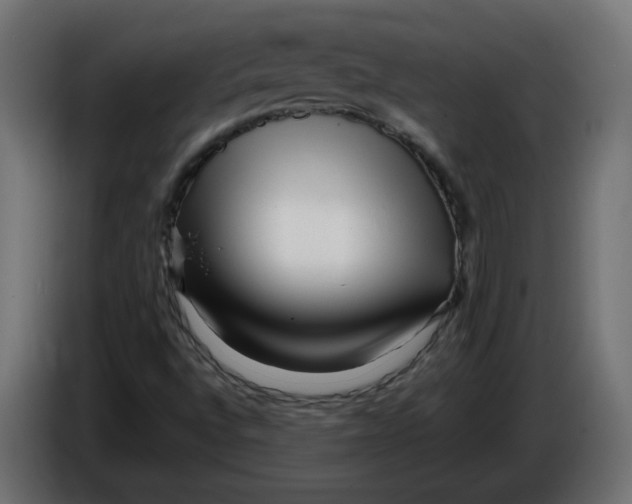 X0000086101496200704132136