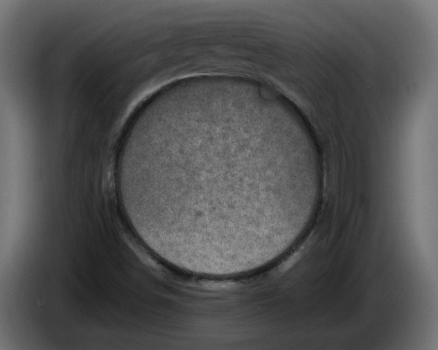 X0000086101498200704132136