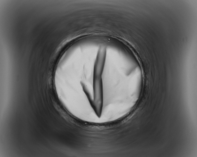 X0000086101499200704132136