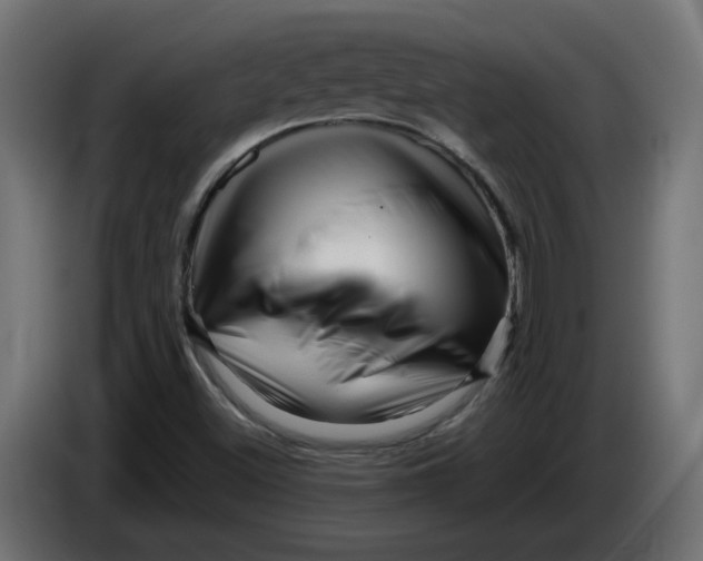 X0000086101500200704132136
