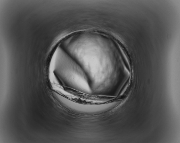 X0000086101501200704132136