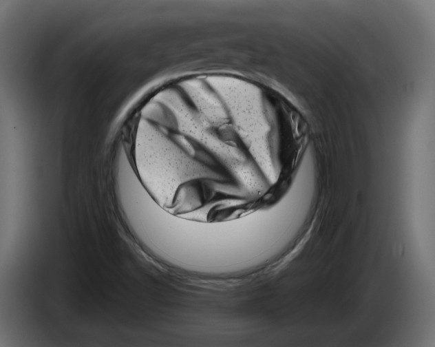 X0000086101502200704132136
