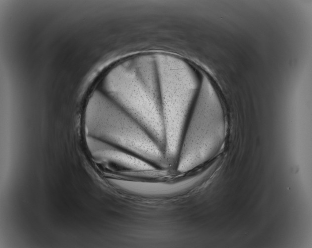 X0000086101503200704132136
