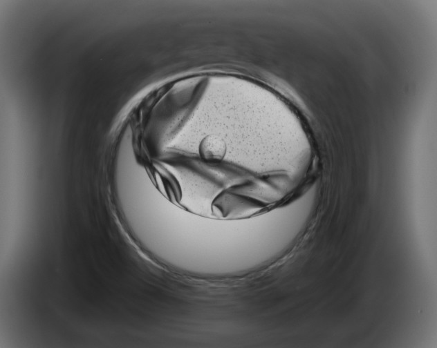 X0000086101504200704132136