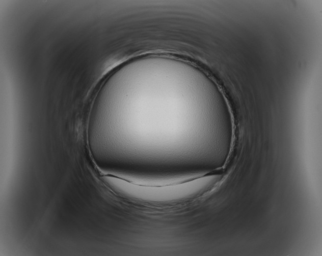 X0000086101505200704132136