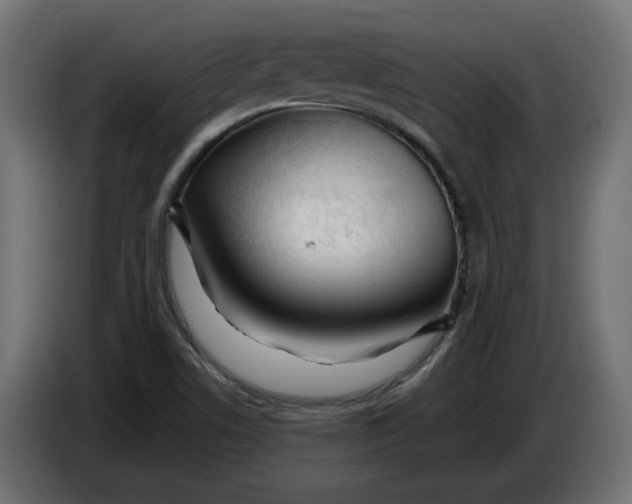 X0000086101506200704132136