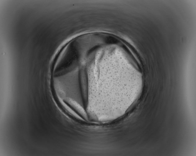 X0000086101508200704132136