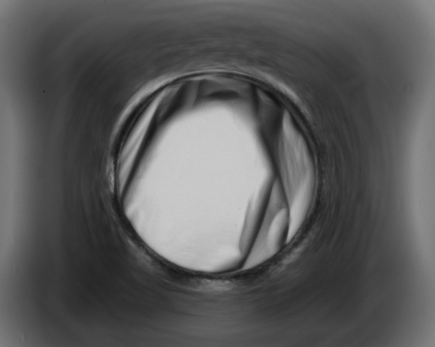 X0000086101509200704132136