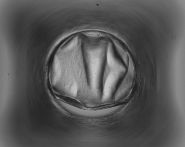 X0000086101511200704132136