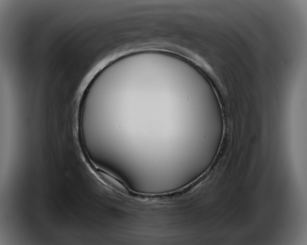 X0000086101512200704132136