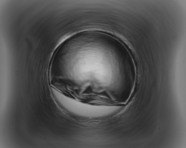 X0000086101513200704132136