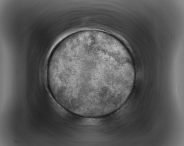 X0000086101514200704132136