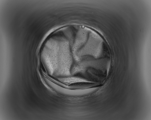 X0000086101515200704132136
