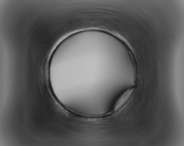 X0000086101516200704132136