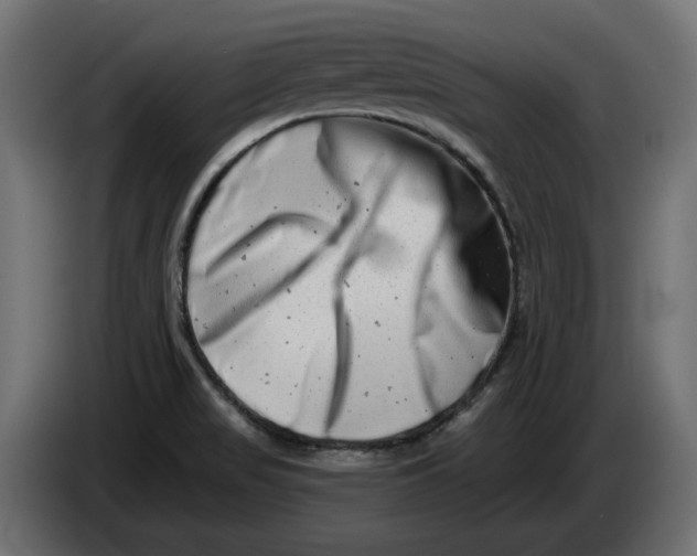 X0000086101517200704132136