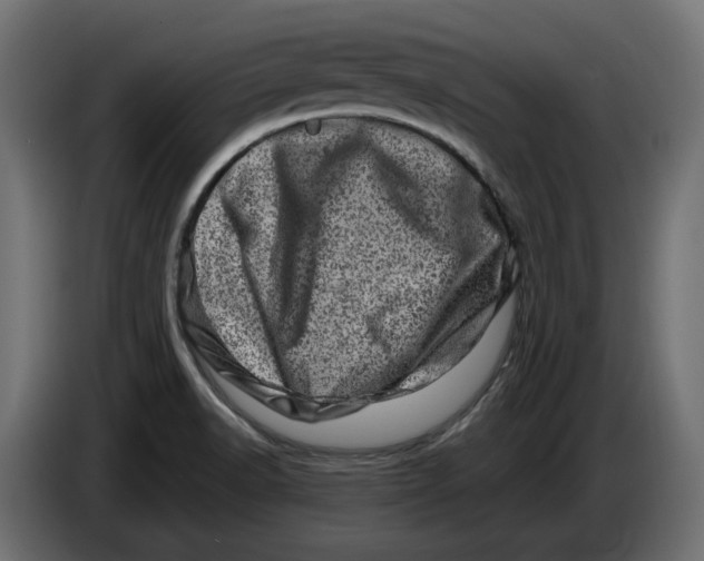 X0000086101518200704132136