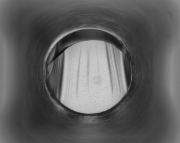 X0000086101519200704132136