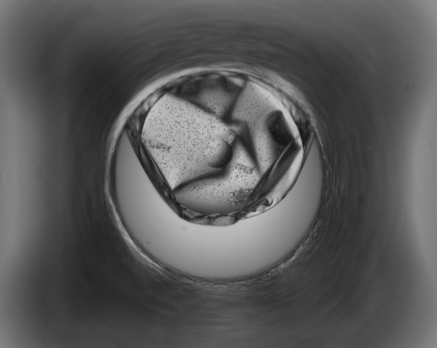 X0000086101520200704132136
