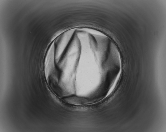 X0000086101521200704132136