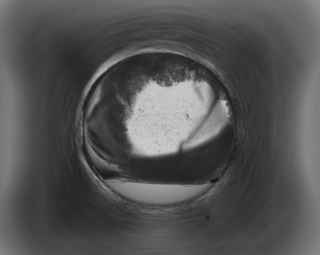 X0000086101522200704132136