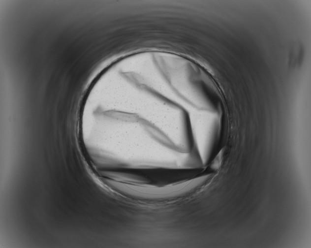 X0000086101523200704132136