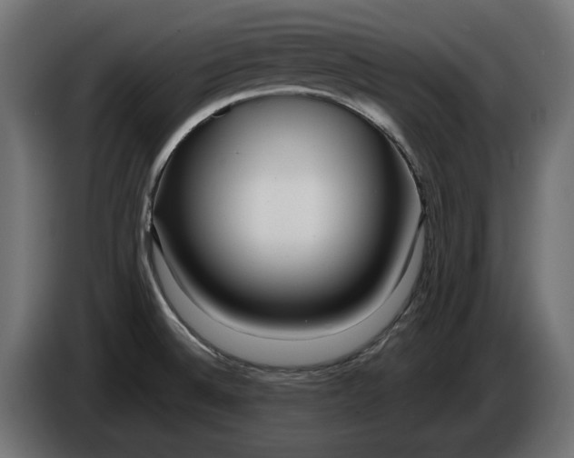 X0000086101524200704132136